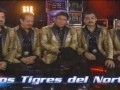 Los Tigres Del Norte- Jefe De Jefes- La Voz Mexico